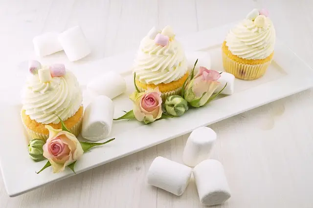 Guide d'Achat : Yaourts Faits Maison