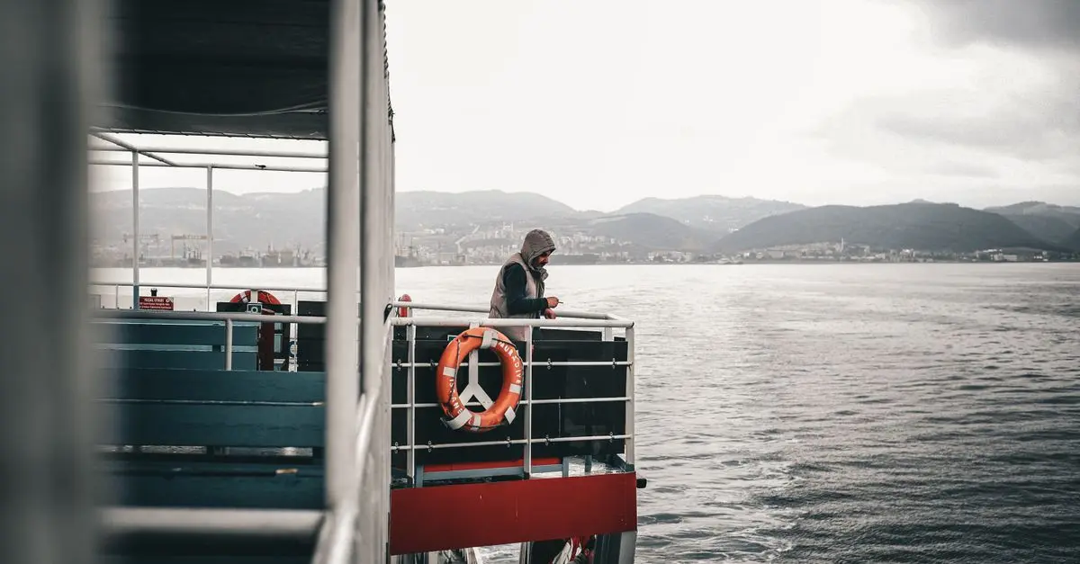 Guide complet pour voyager avec vos animaux de compagnie