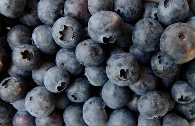 Zdrowa żywność na zakupy – jak wybierać produkty zdrowe?